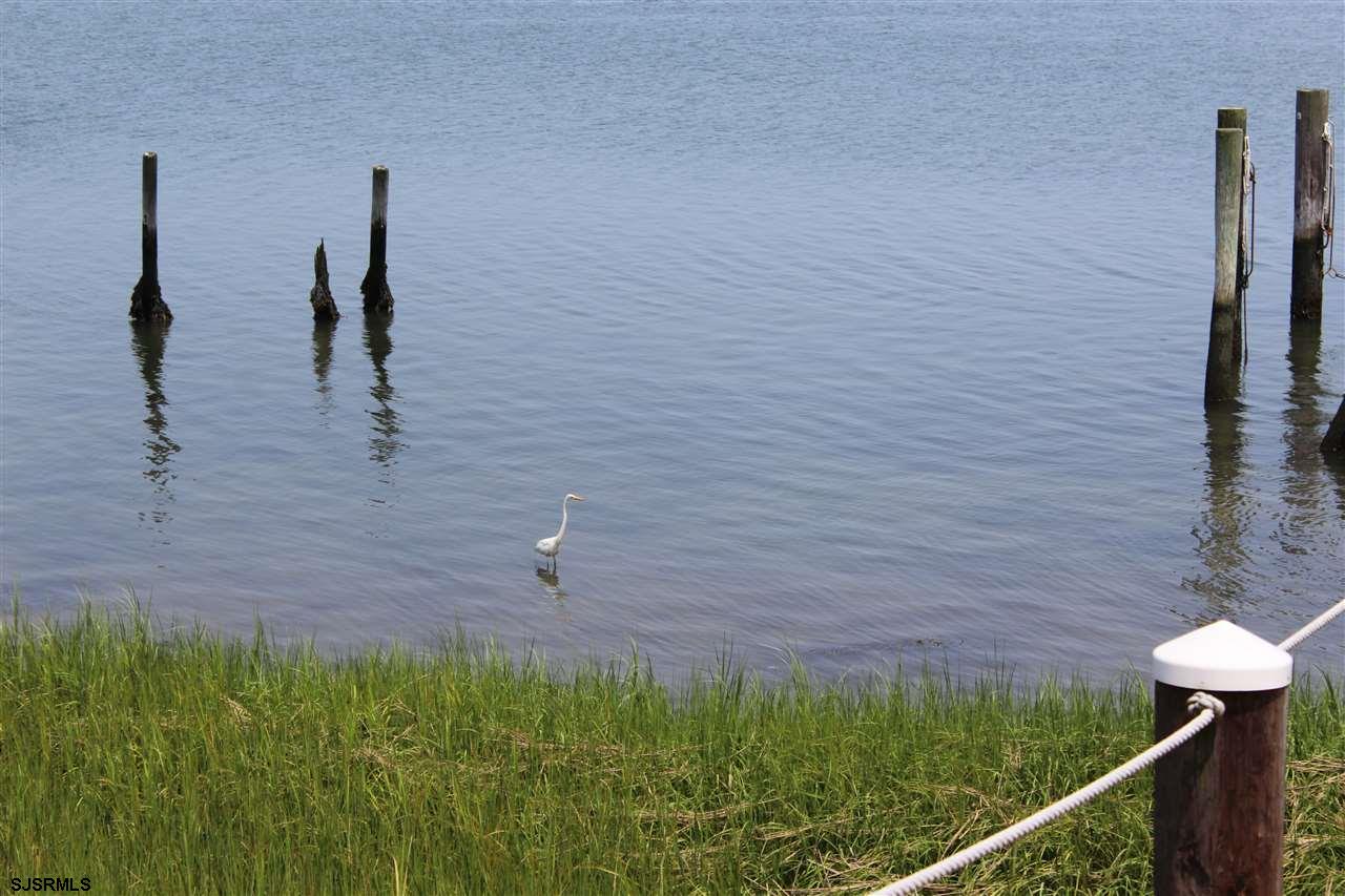 1101 East Shore Drive, Unit C Brigantine, NJ 08203 - Photo 10 of 22 a view of a garden
