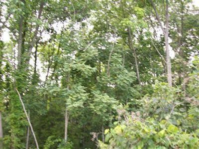 5 Pea Ridge Road Stamping Ground, KY 40379 - Photo 6 of 9 Photo 6