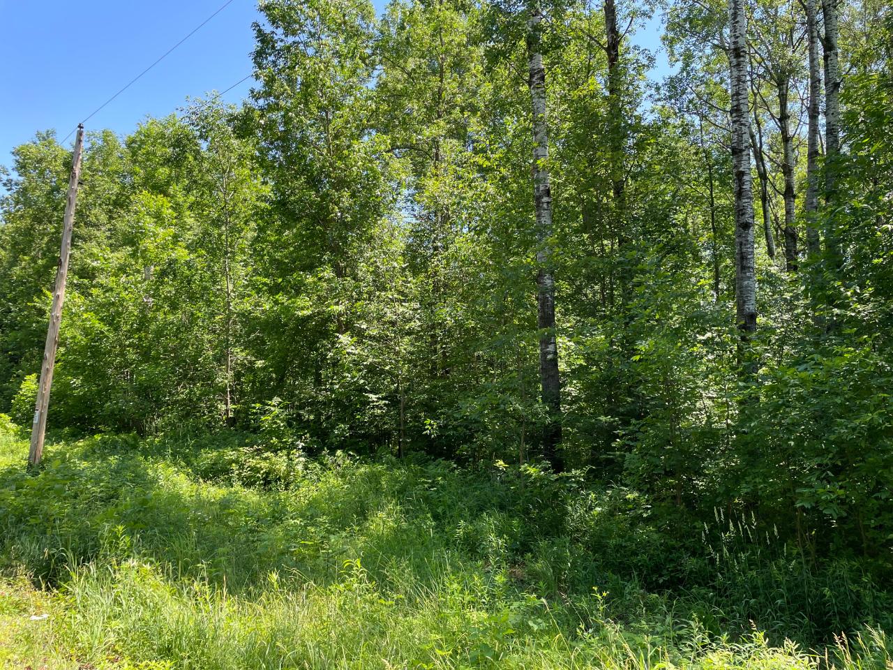 1.07 East Soo Lake Road Phillips, WI 54555 - Photo 15 of 21 Gallery Image 15