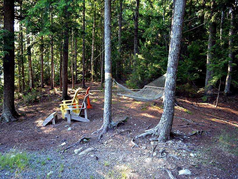 798 Chadwick Pt Road Weston, ME 04424 - Photo 4 of 35 Land.