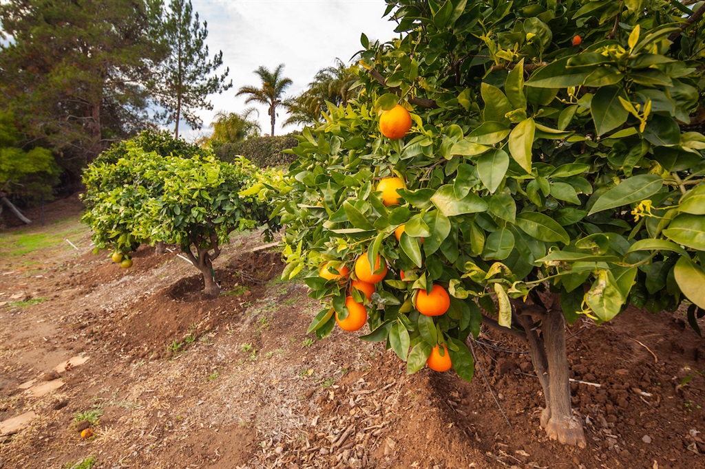 5829 Ranch View Road Oceanside, CA 92057 - Photo 23 of 25