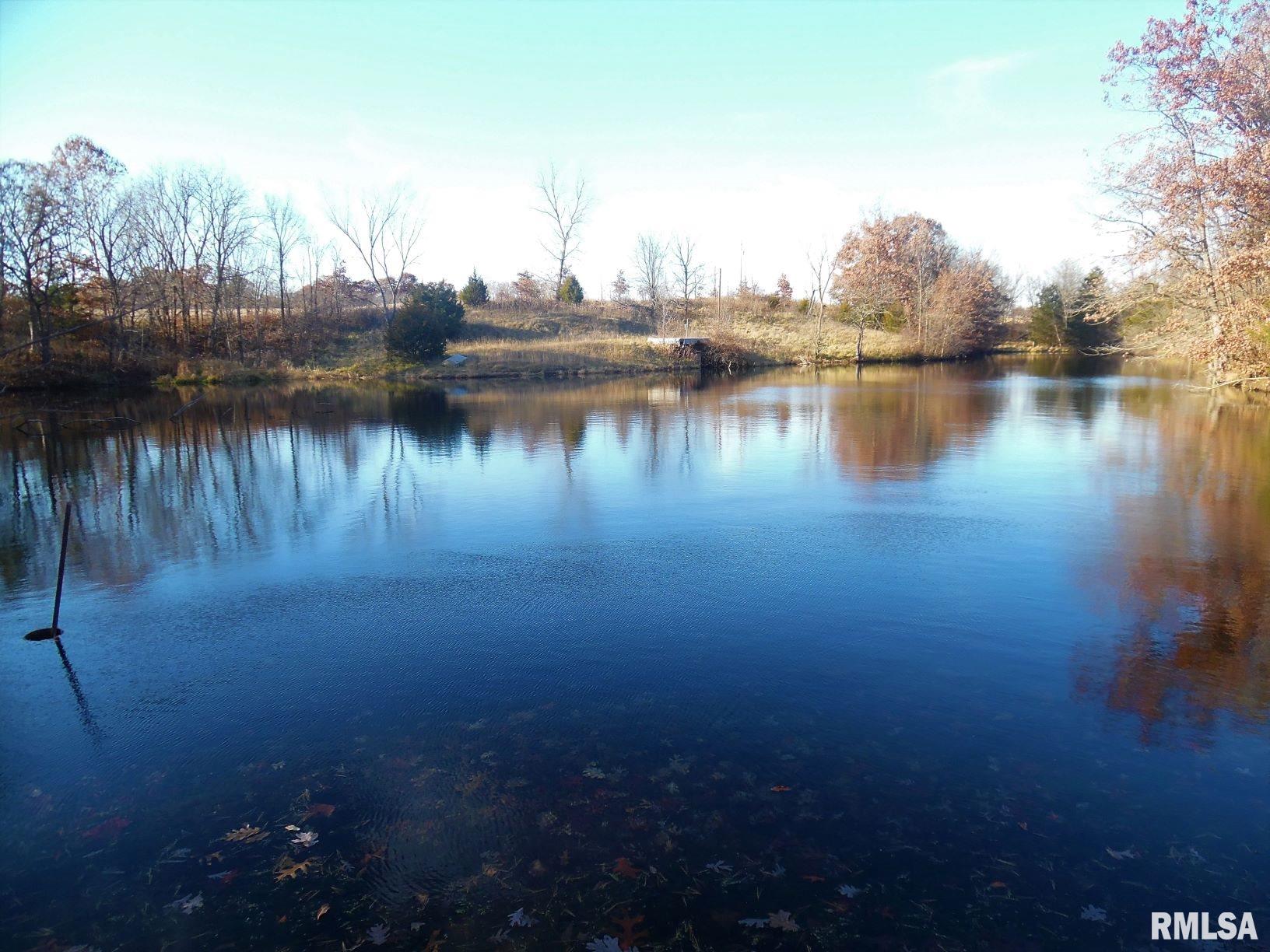 2267 Vanbebber Road Murrayville, IL 62668 - Photo 11 of 32