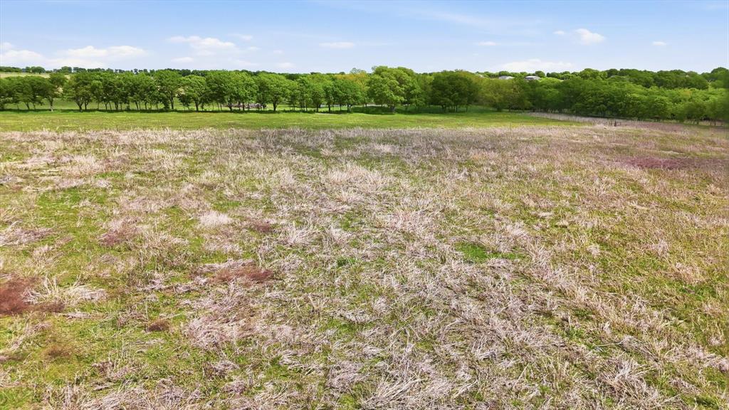 0 Fm 455 Decatur, TX 76234 - Photo 15 of 20 Expansive open field with natural grasses and scattered low-lying vegetation