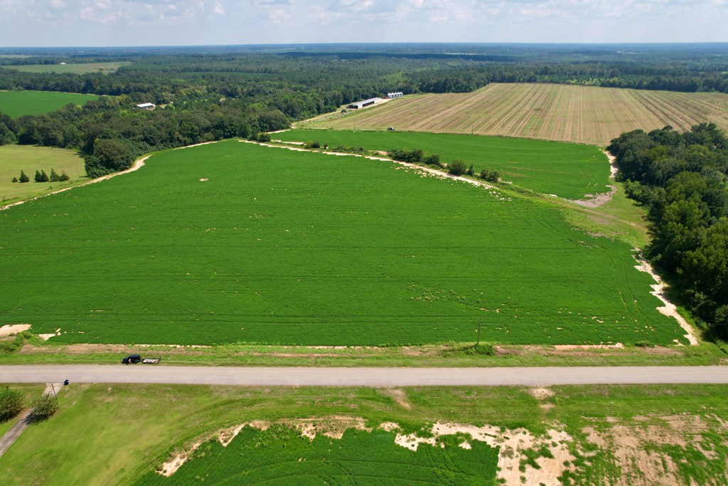0 Judge Logue Road Newton, AL 36352 - Photo 5 of 10