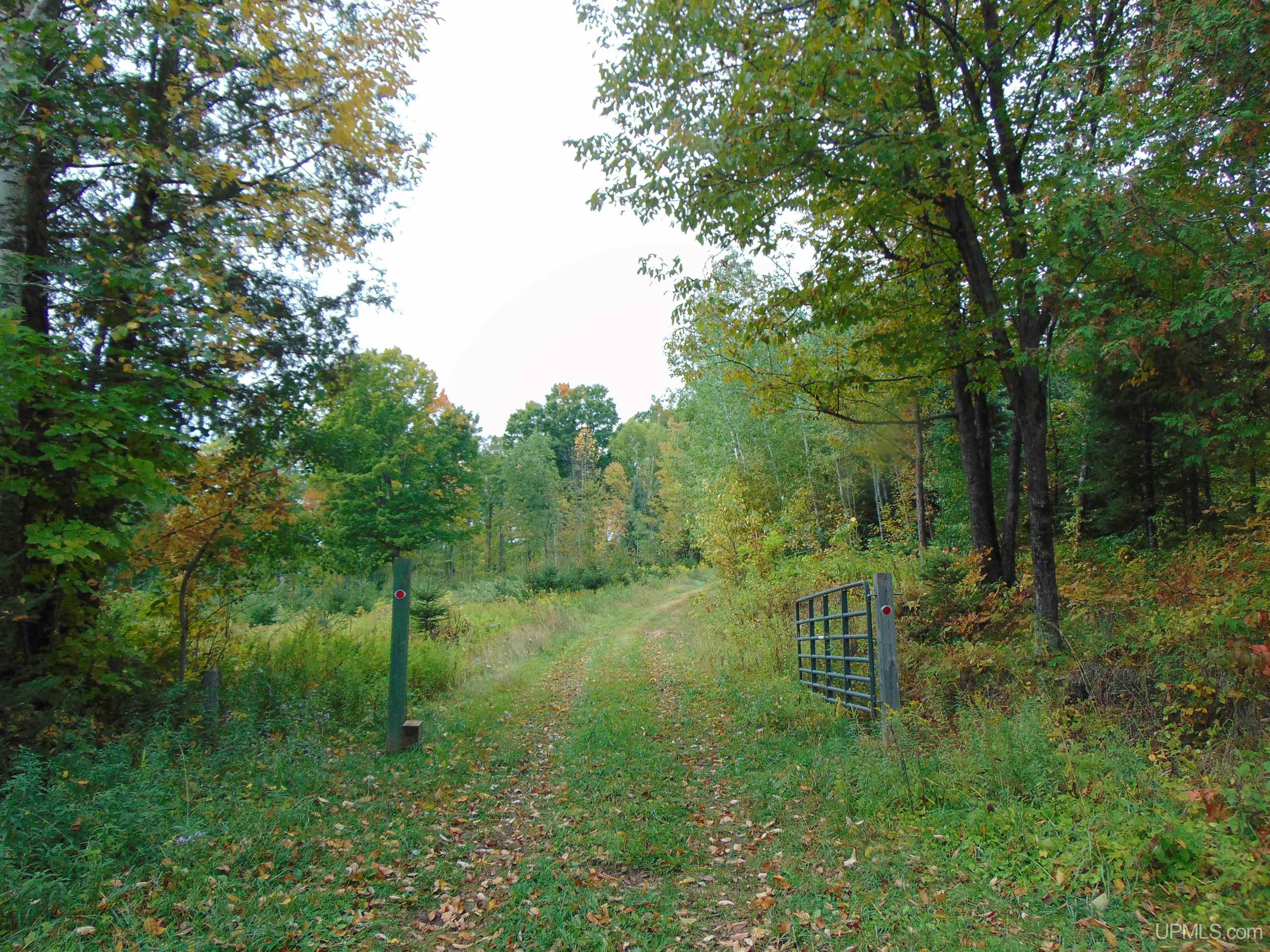 2792 County Line Road Vulcan, MI 49892 - Photo 71 of 99