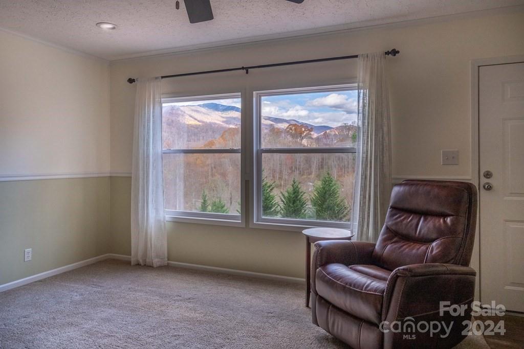 572 Dark Ridge Road Sylva, NC 28779 - Photo 13 of 26 a living room with furniture and a window