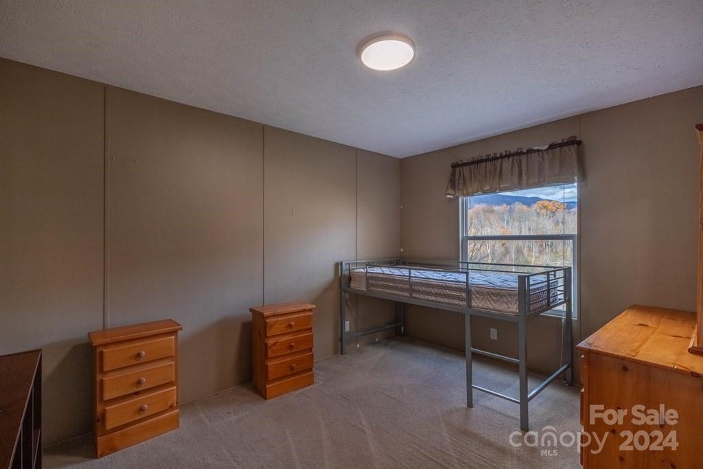 572 Dark Ridge Road Sylva, NC 28779 - Photo 20 of 26 a room with furniture and window