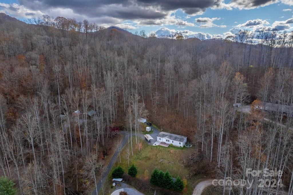 572 Dark Ridge Road Sylva, NC 28779 - Photo 4 of 26 a view of a yard in a forest