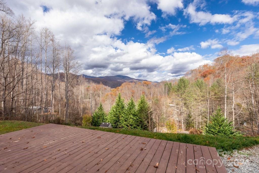 572 Dark Ridge Road Sylva, NC 28779 - Photo 8 of 26 a view of a backyard of the house