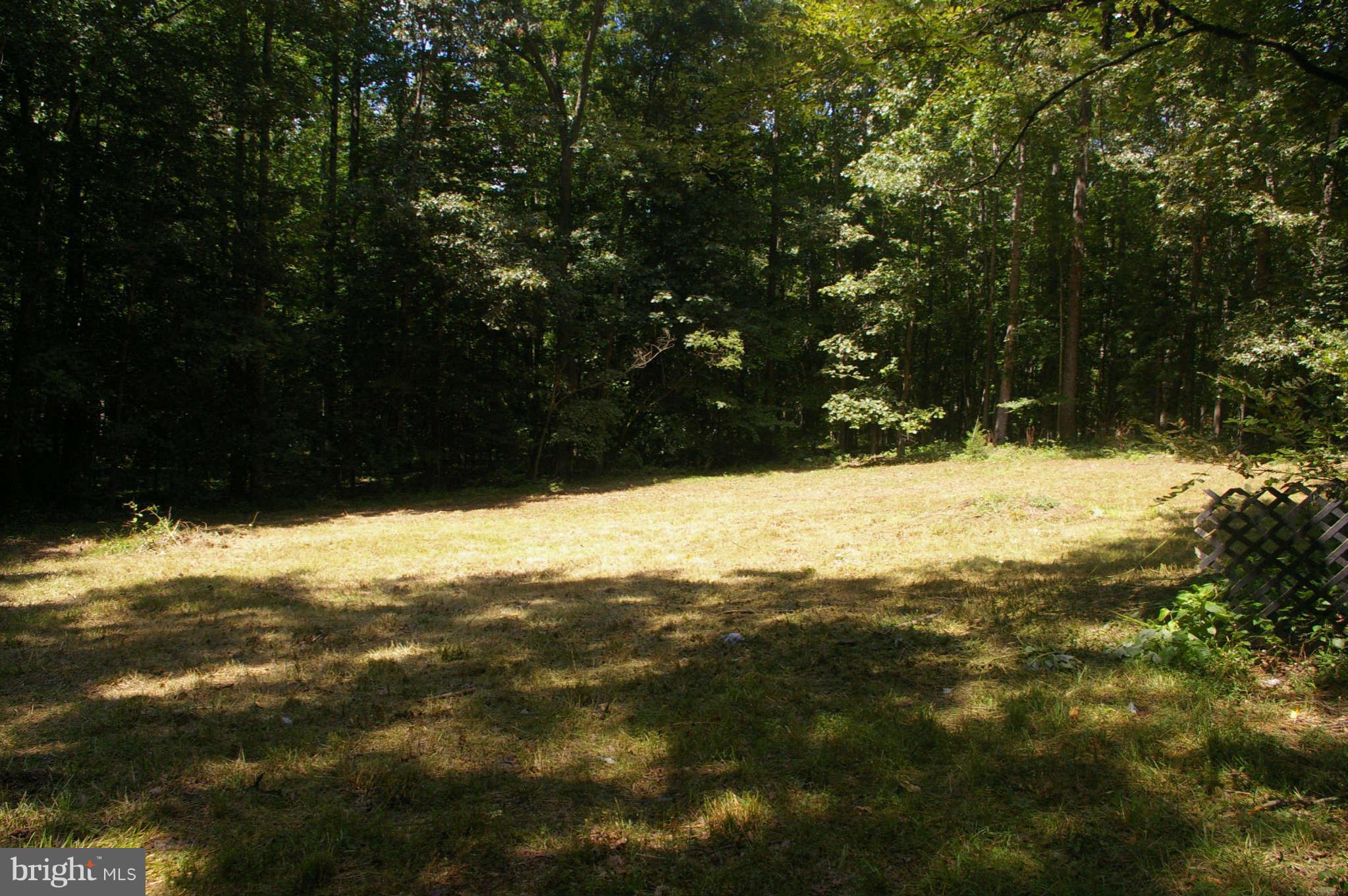 6547 Wilson Road Marshall, VA 20115 - Photo 16 of 29 Exterior General