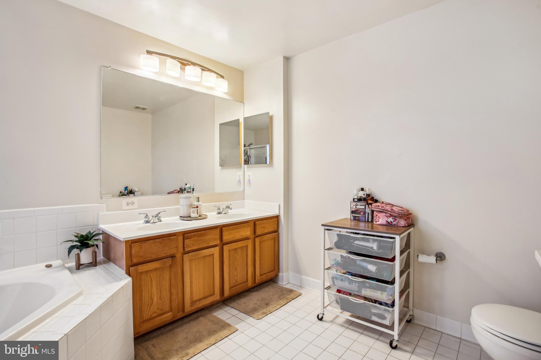 6624 Springirth Terrace Alexandria, VA 22315 - Photo 23 of 37 Master bathroom