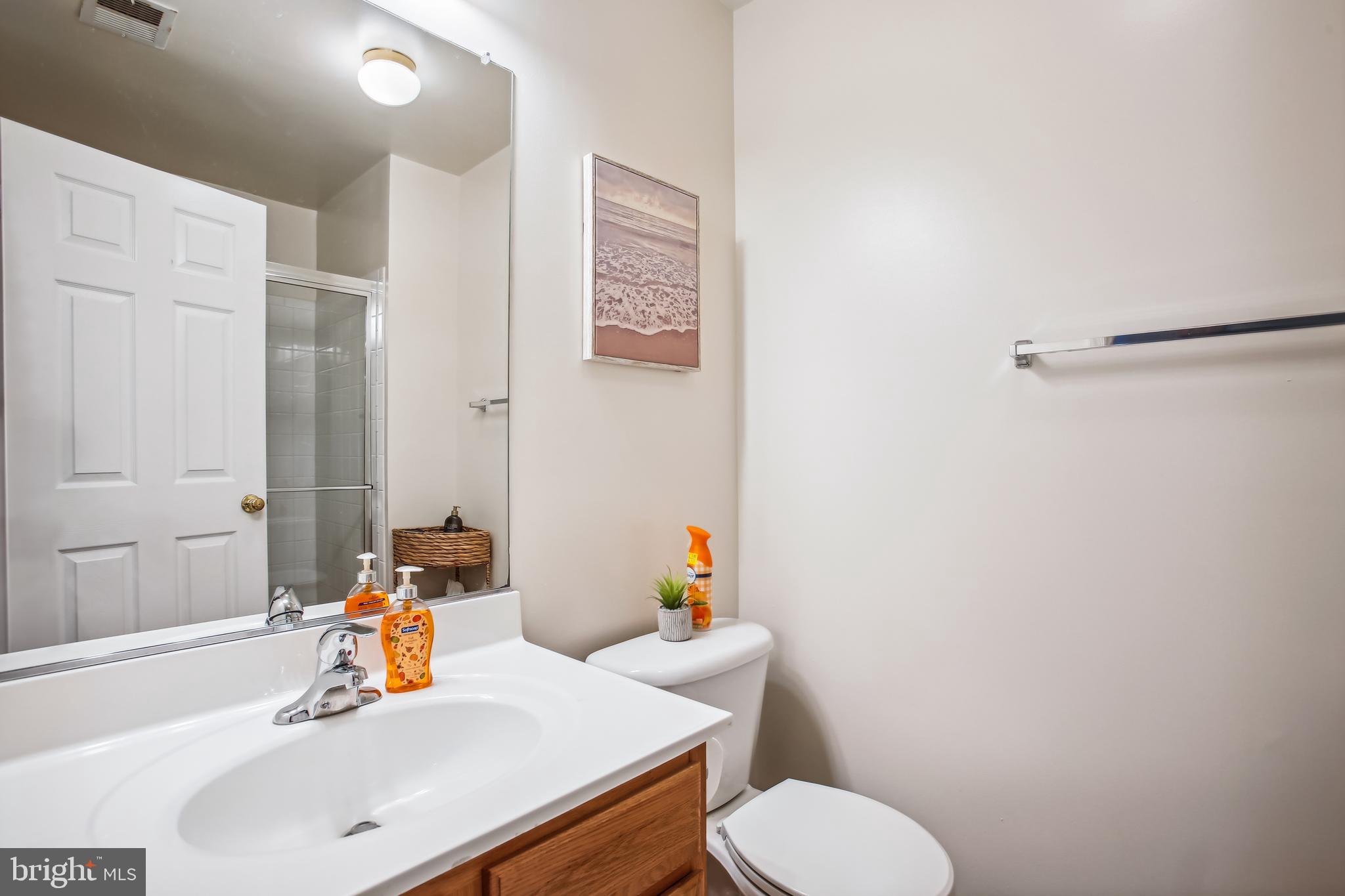 6624 Springirth Terrace Alexandria, VA 22315 - Photo 34 of 37 Lower Level Bathroom (full)