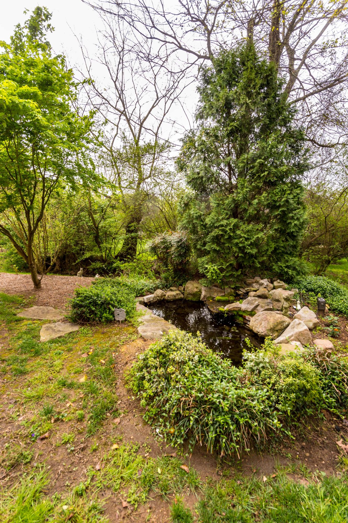 512 Riding Trail Way Chattanooga, TN 37405 - Photo 3 of 29 _MG10486
