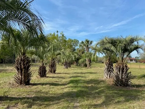 $225,000 | 23206 Northwest 102 Nd Avenue, Alachua, FL 32615