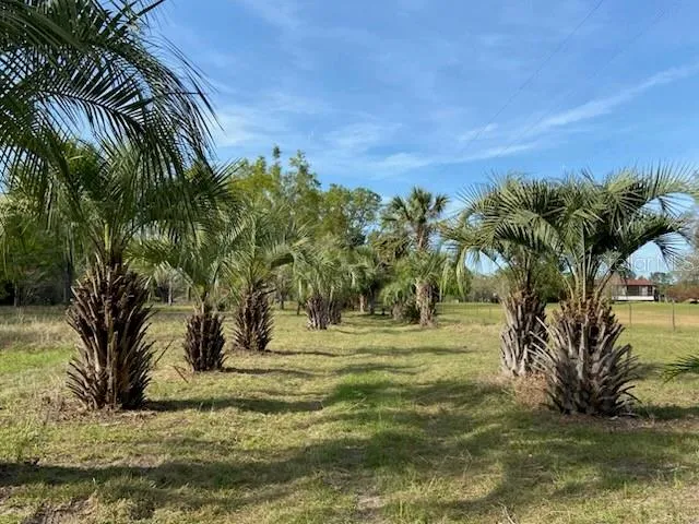 $225,000 | 23206 Northwest 102 Nd Avenue, Alachua, FL 32615