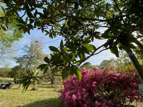 $225,000 | 23206 Northwest 102 Nd Avenue, Alachua, FL 32615