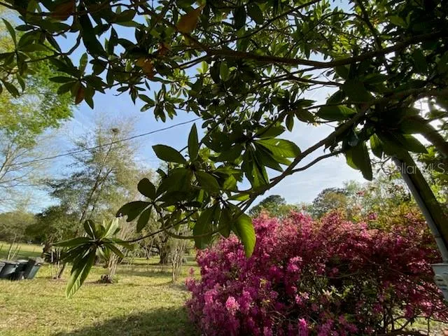 $225,000 | 23206 Northwest 102 Nd Avenue, Alachua, FL 32615