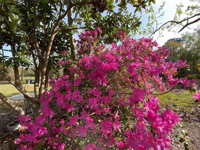 $225,000 | 23206 Northwest 102 Nd Avenue, Alachua, FL 32615