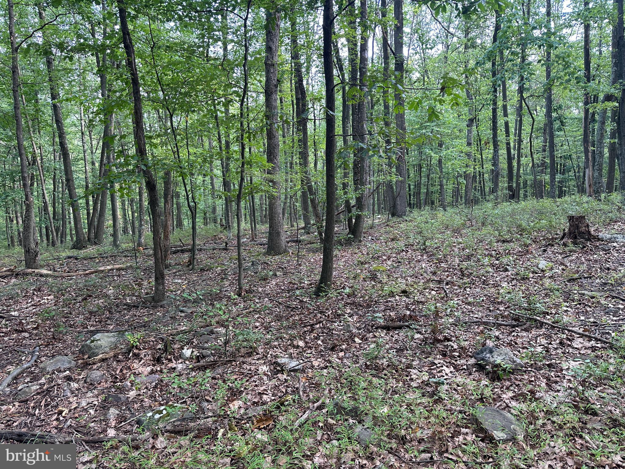 0 Hanging Rock Road Clear Spring, MD 21722 - Photo 25 of 30 Gallery Image 25