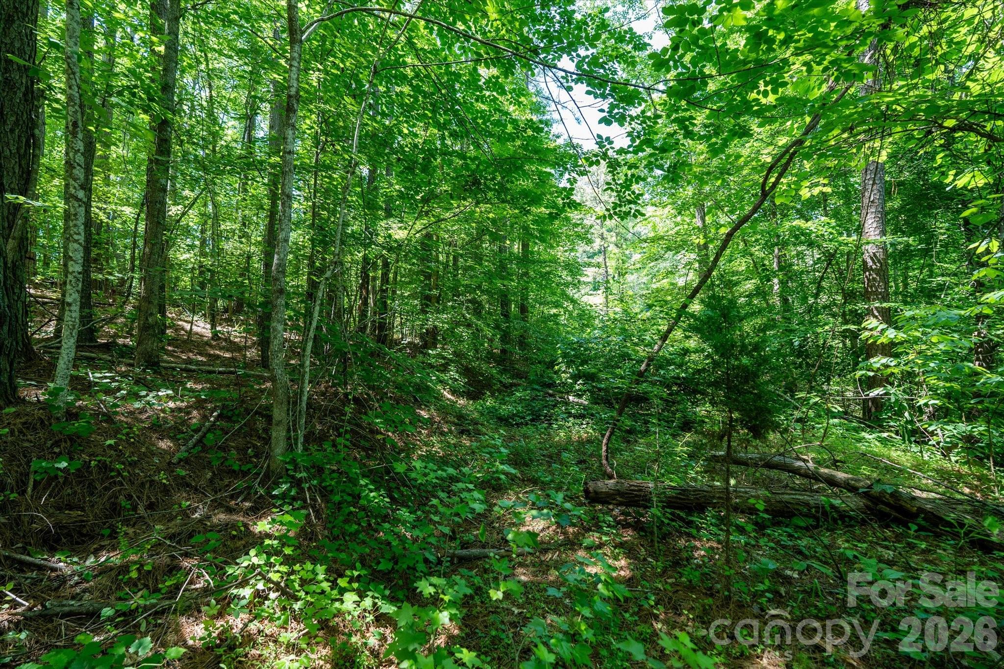 99999 Tryon Road Rutherfordton, NC 28139 - Photo 10 of 25