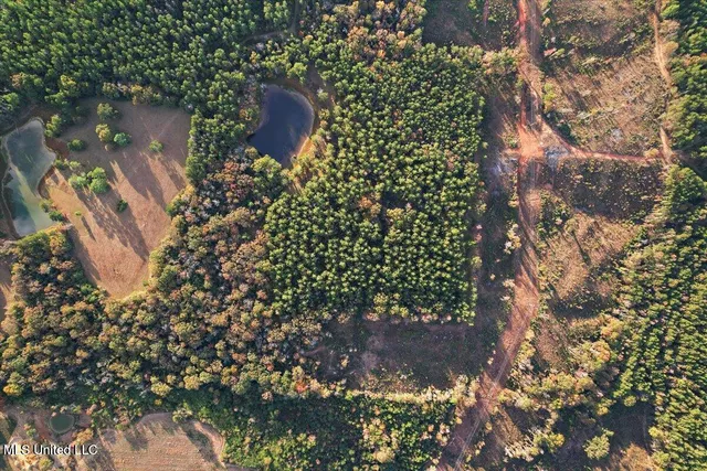 $136,999 | Undisclosed Address, Magee, MS 39111