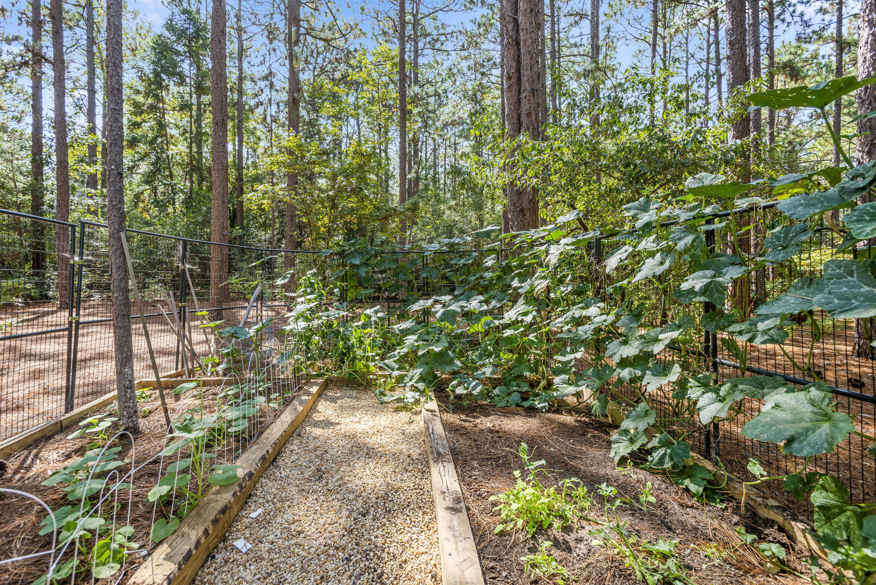 350 Laurel Road Southern Pines, NC 28387 - Photo 29 of 35 31