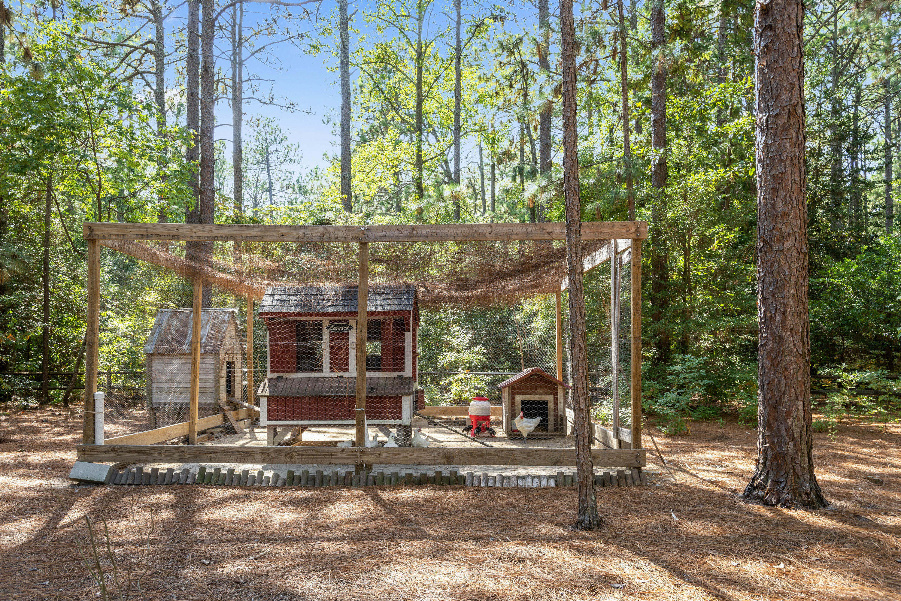 350 Laurel Road Southern Pines, NC 28387 - Photo 30 of 35 Large chicken/fowl coop