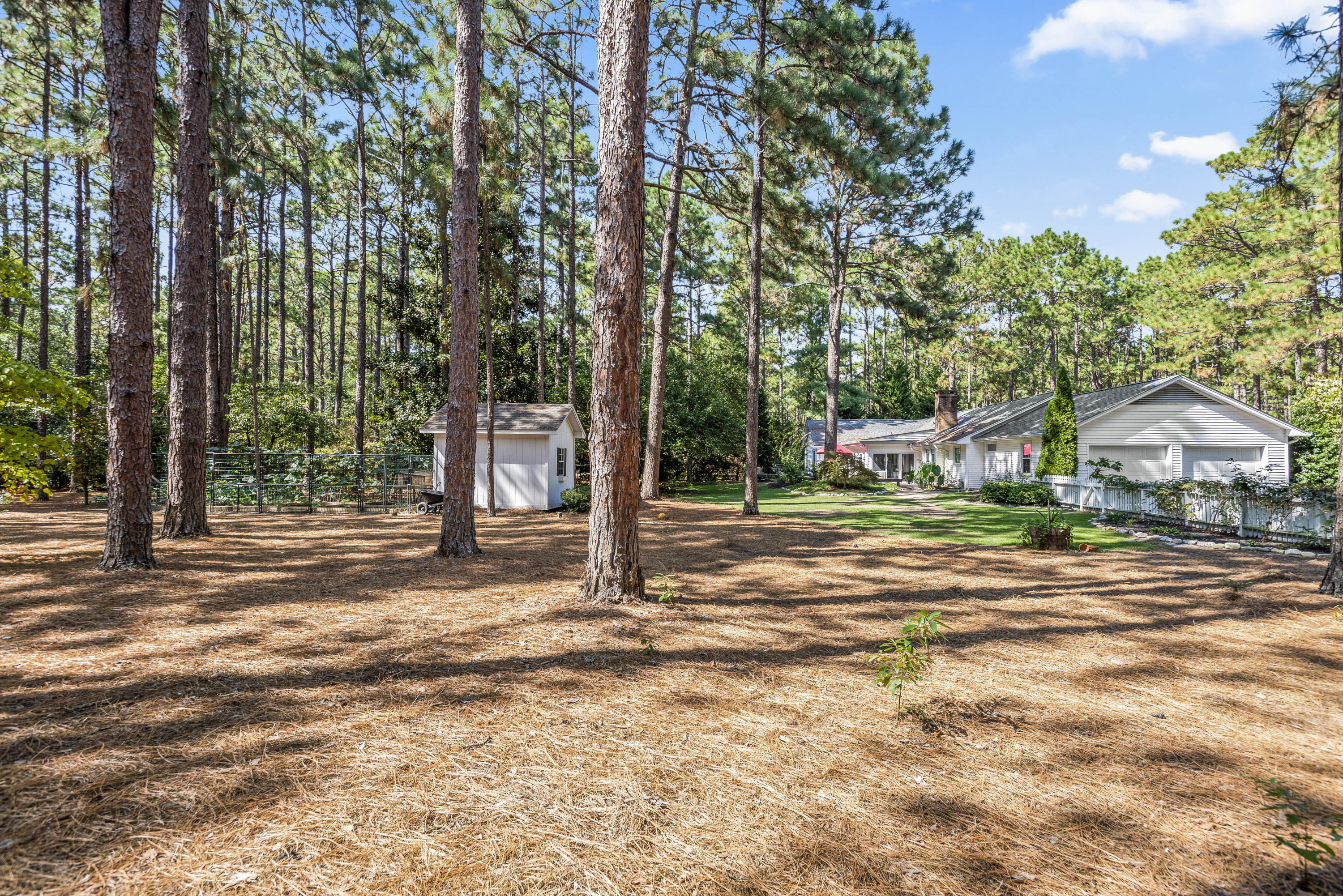 350 Laurel Road Southern Pines, NC 28387 - Photo 31 of 35 Large, fully fenced back yard