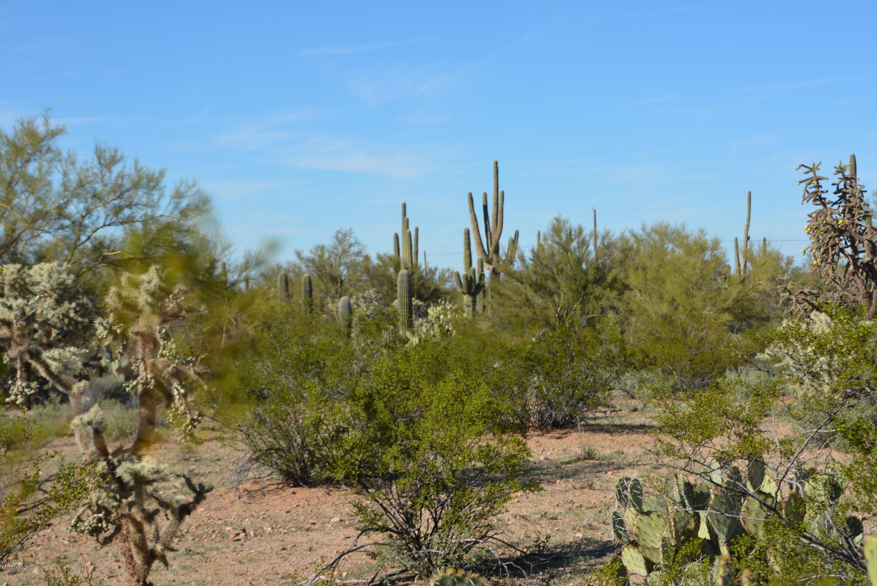 11700 West Rudasill Road, Unit LOT 4 Tucson, AZ 85743 - Photo 6 of 33