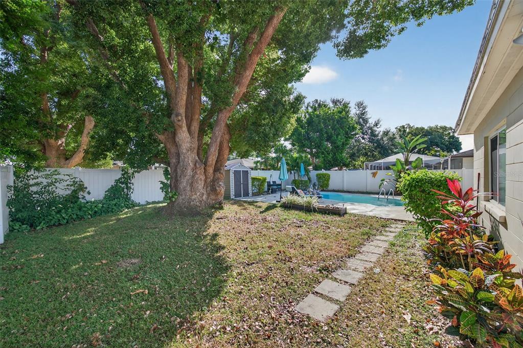 1993 Citrus Hill Road Palm Harbor, FL 34683 - Photo 34 of 37 a view of a yard with a tree