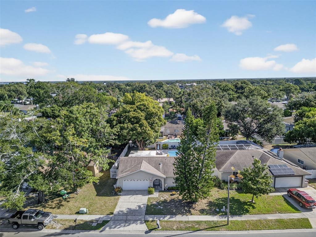 1993 Citrus Hill Road Palm Harbor, FL 34683 - Photo 35 of 37 an aerial view of a