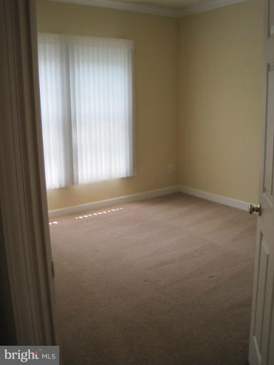 4908 Waple Lane Alexandria, VA 22304 - Photo 17 of 23 a view of room with window