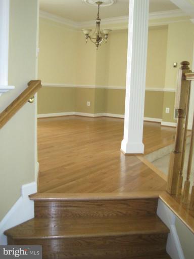 4908 Waple Lane Alexandria, VA 22304 - Photo 4 of 23 a view of a walk in closet