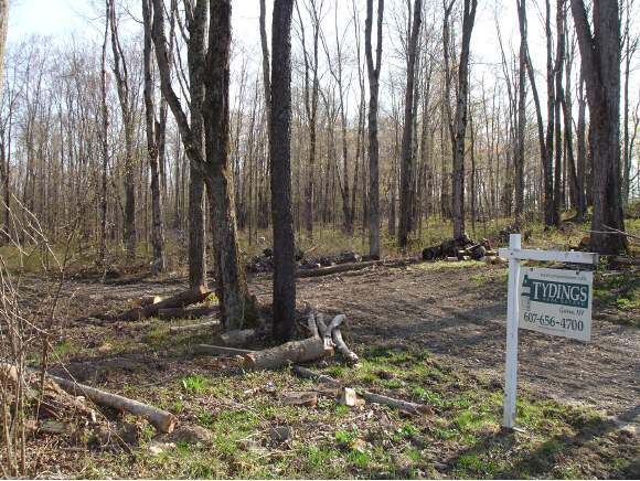 0 Ott Road Greene, NY 13778 - Photo 1 of 5 Gallery Image 1