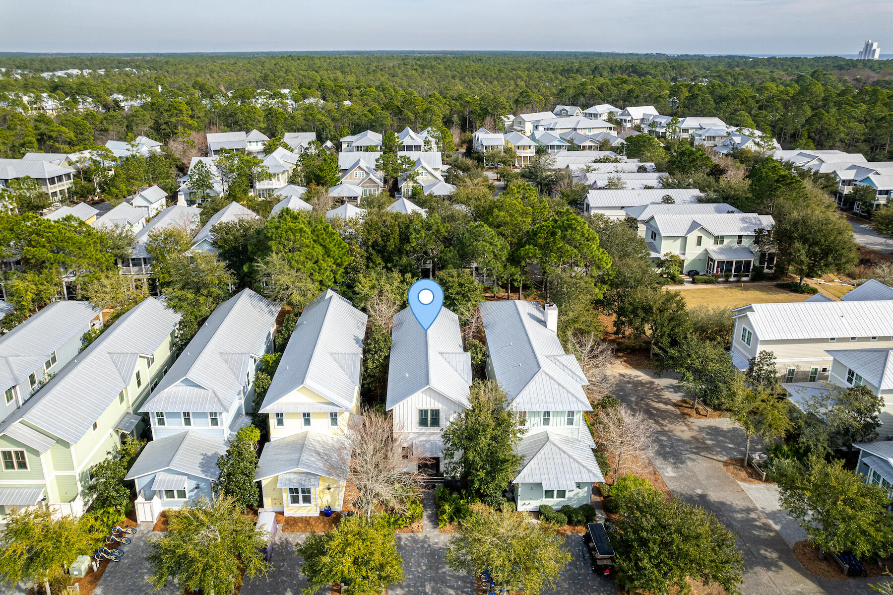 41 Red Basil Drive Santa Rosa Beach, FL 32459 - Photo 39 of 69