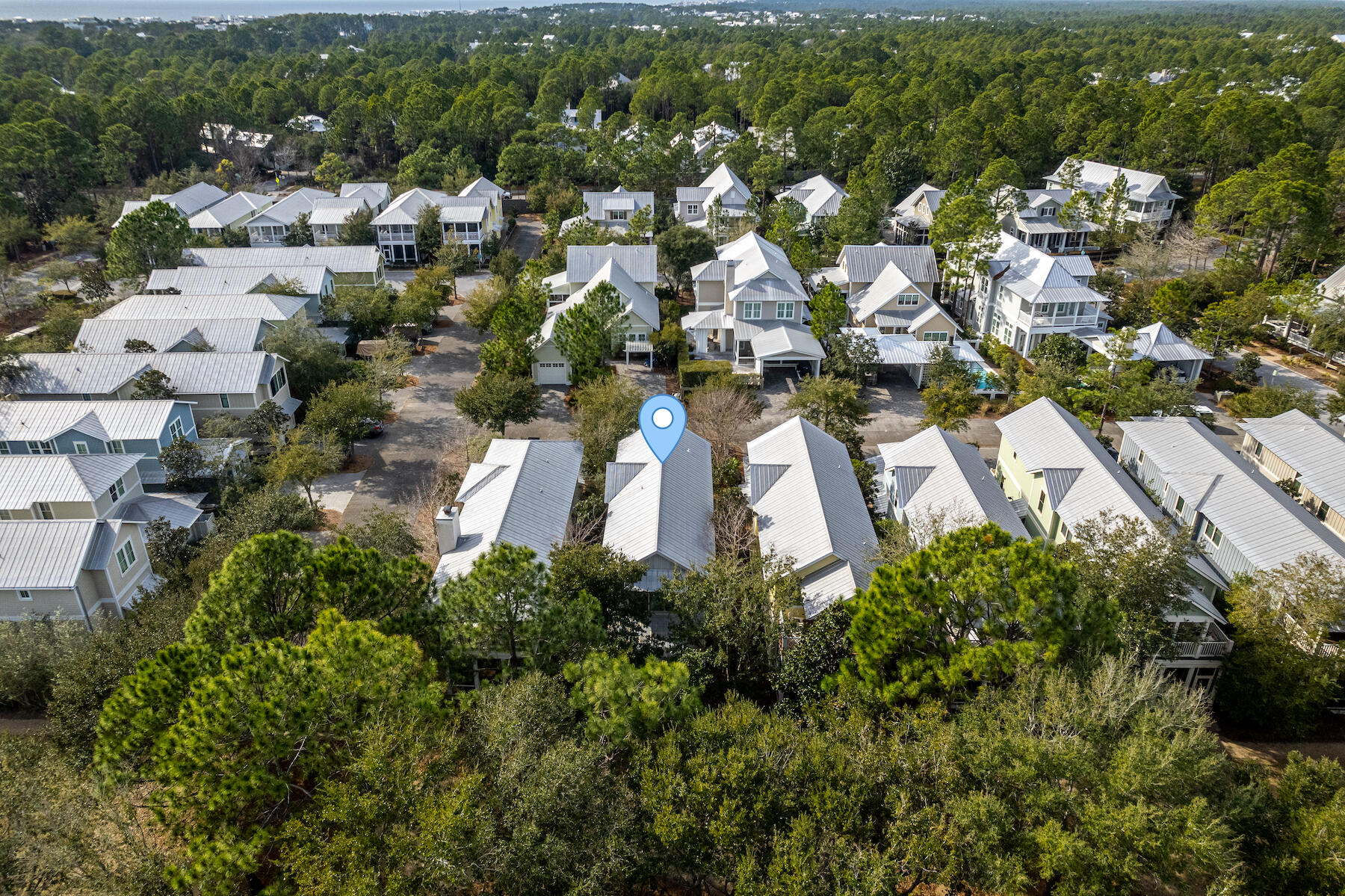 41 Red Basil Drive Santa Rosa Beach, FL 32459 - Photo 41 of 69