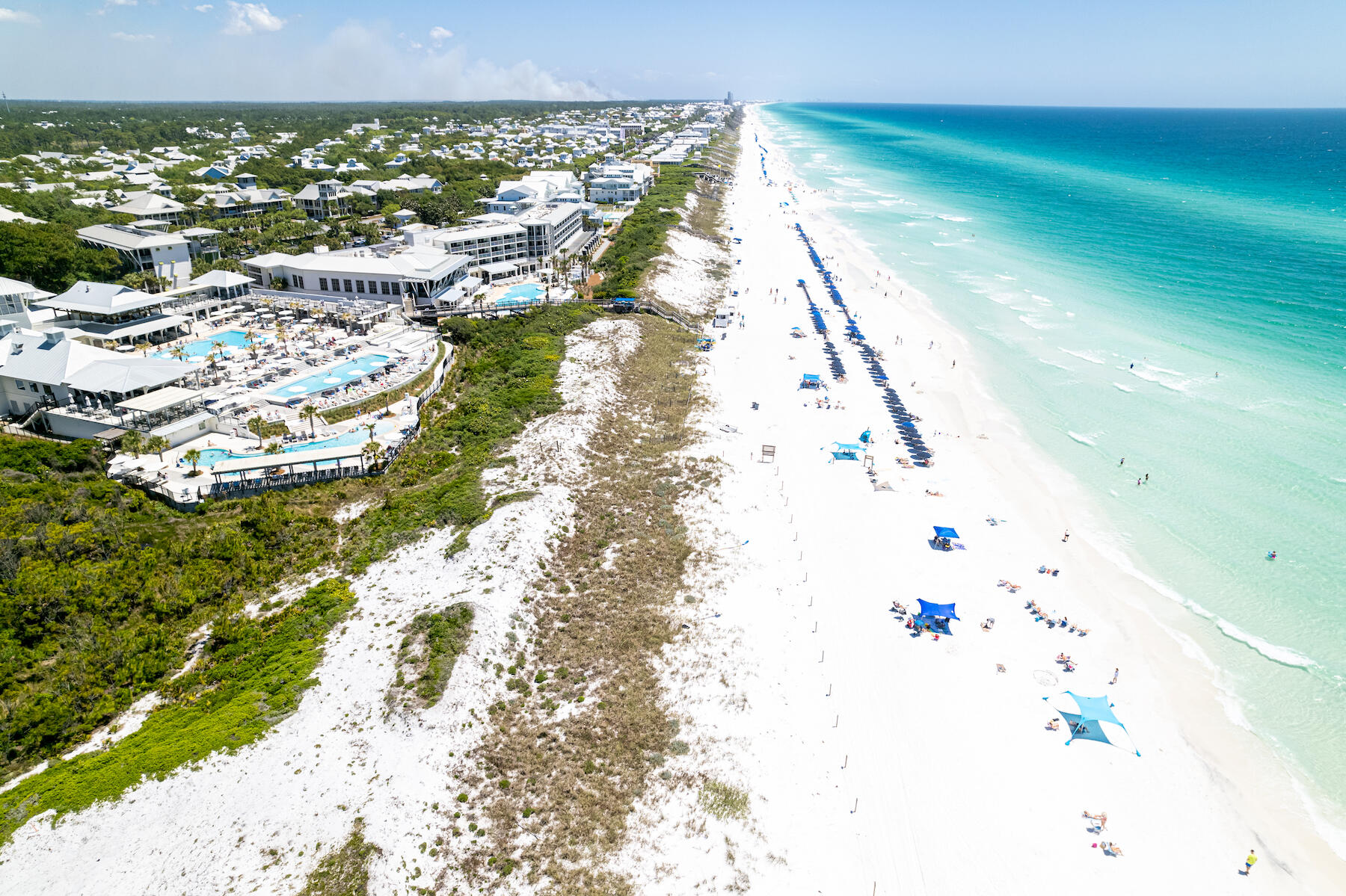 41 Red Basil Drive Santa Rosa Beach, FL 32459 - Photo 56 of 69