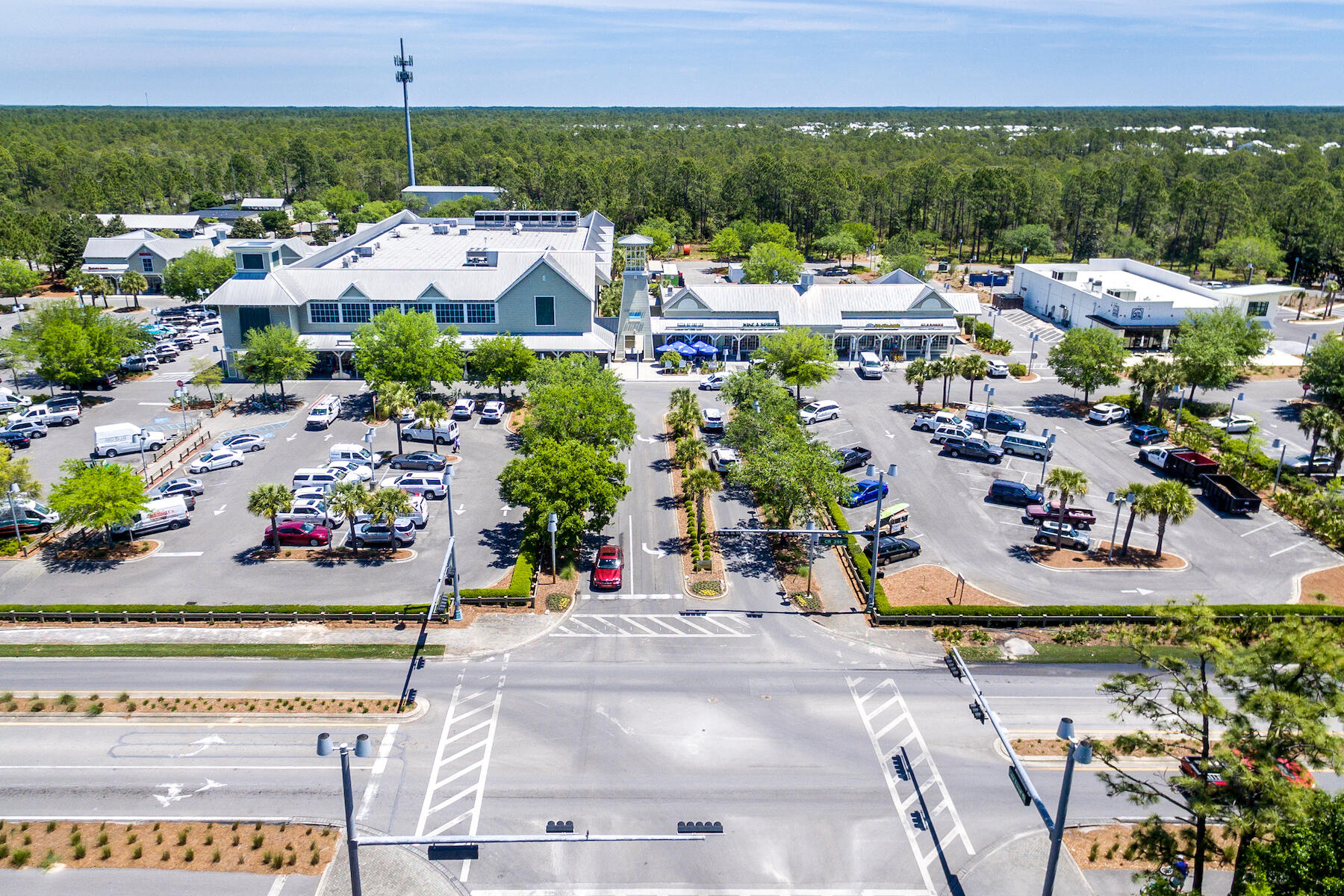 41 Red Basil Drive Santa Rosa Beach, FL 32459 - Photo 62 of 69
