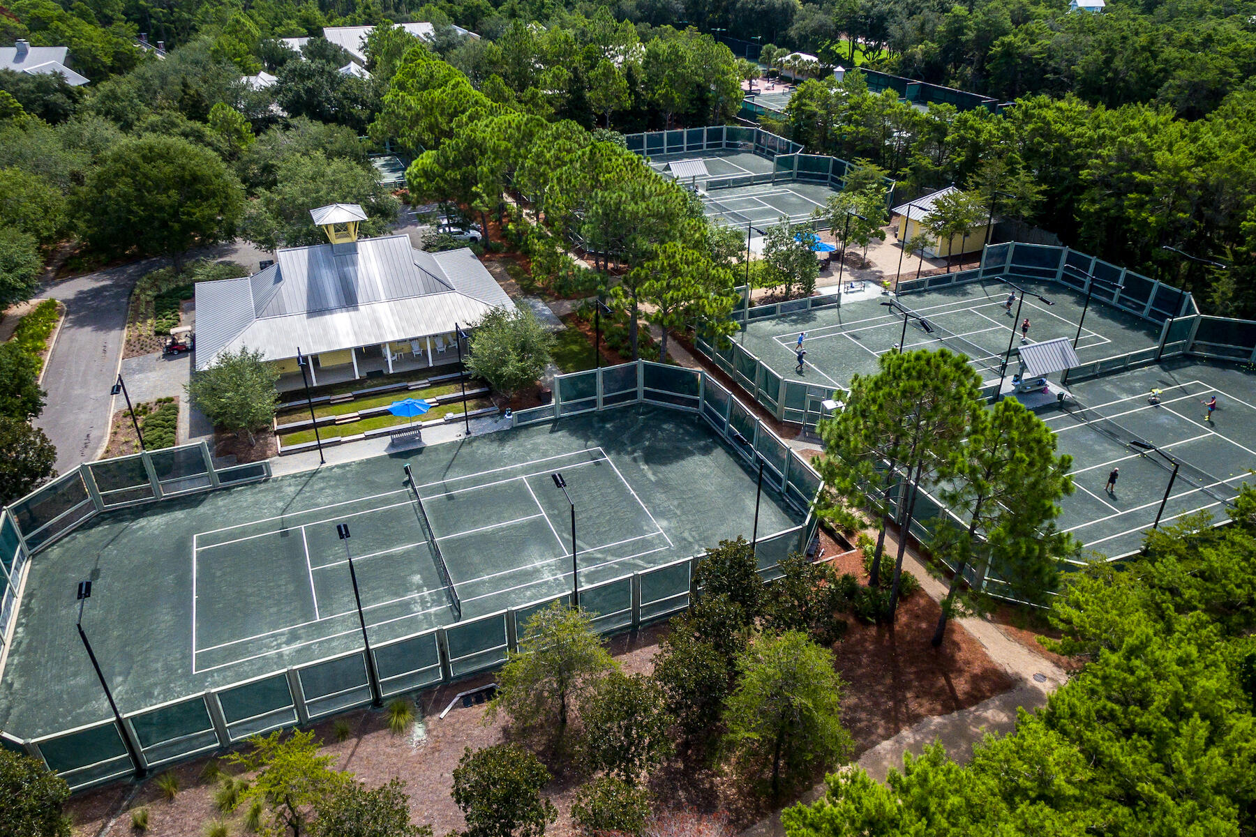 41 Red Basil Drive Santa Rosa Beach, FL 32459 - Photo 67 of 69