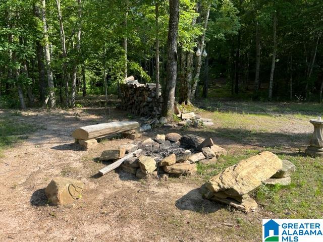 8134 Clairmont Springs Road Lineville, AL 36266 - Photo 29 of 36