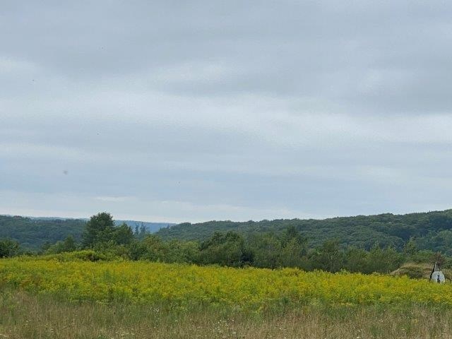 1168 Egypt Hollow Road Warren, PA 16365 - Photo 11 of 26