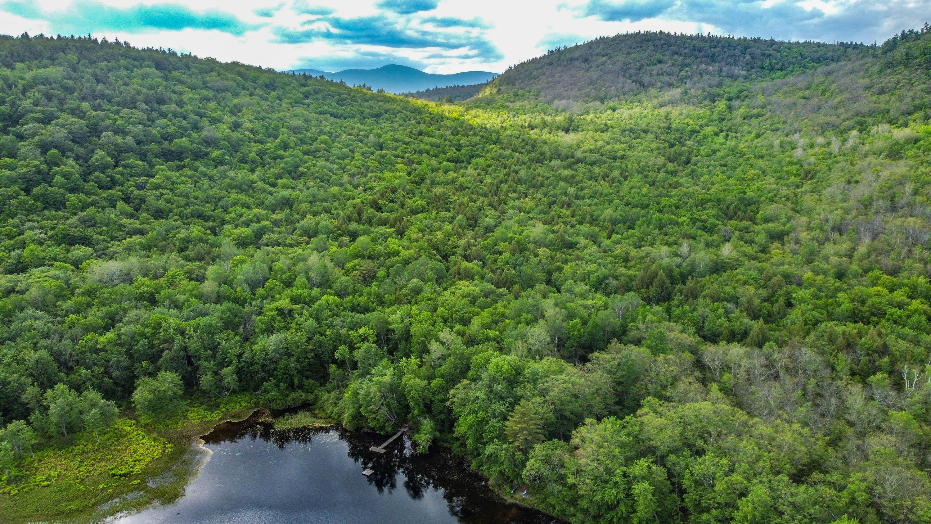 142 5 Kezar Ponds Road Waterford, ME 04088 - Photo 61 of 73 20220610gp-67033