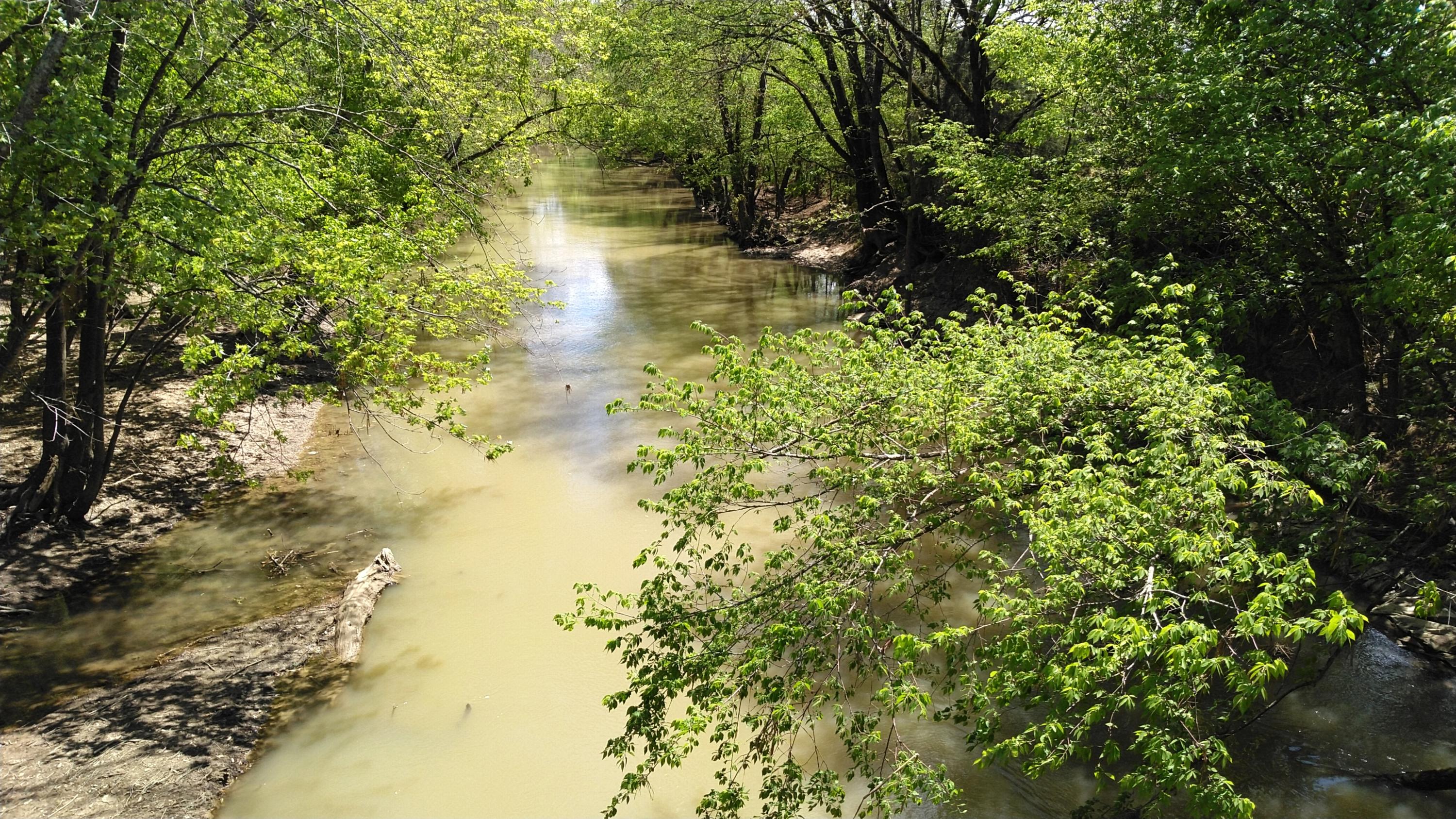 Lot 34 Murray Bridge Road, Unit 34 Mohawk, TN 37810 - Photo 5 of 5 Smelcer Rd Large Creek 2