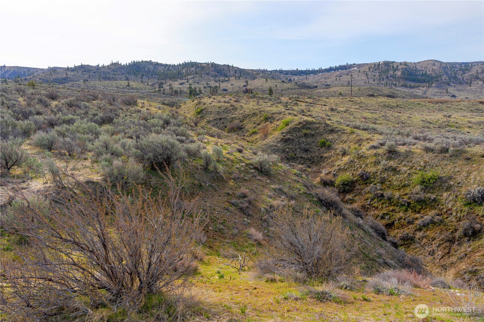 0 Tract 3 Mcneil Canyon Road Orondo, WA 98843 - Photo 11 of 28 a view of mountain