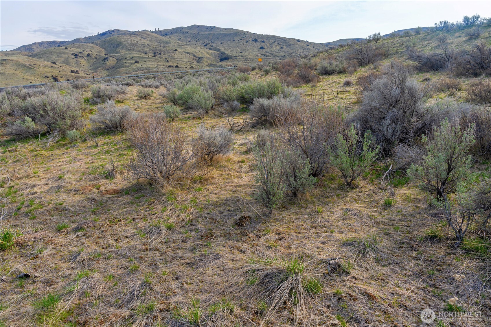 0 Tract 3 Mcneil Canyon Road Orondo, WA 98843 - Photo 13 of 28 a view of a dry field with trees in the background