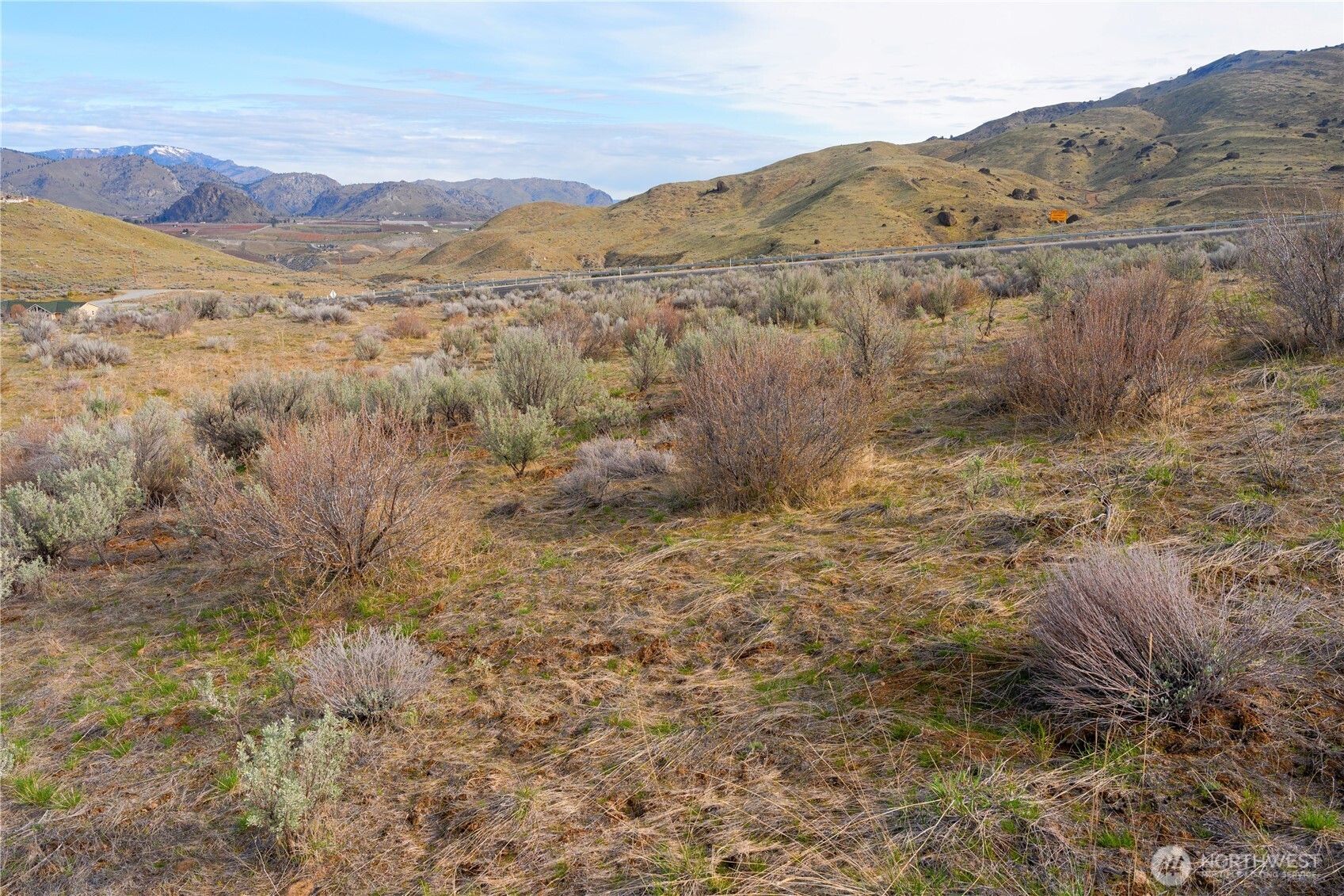 0 Tract 3 Mcneil Canyon Road Orondo, WA 98843 - Photo 9 of 28 a view of a dry yard with mountains in the background