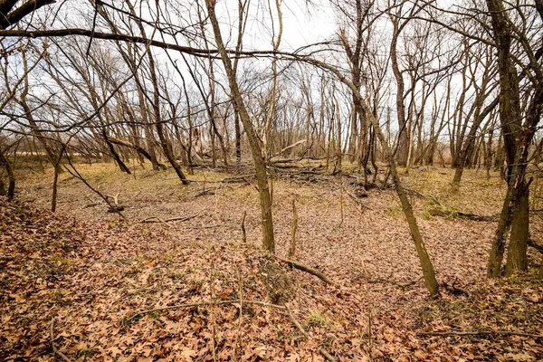 $1,749,999 | 1628 County Road 4150 N/a, Coffeyville, KS 67337