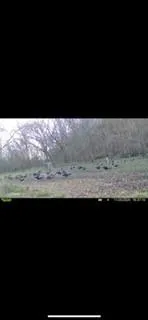 $1,749,999 | 1628 County Road 4150 N/a, Coffeyville, KS 67337