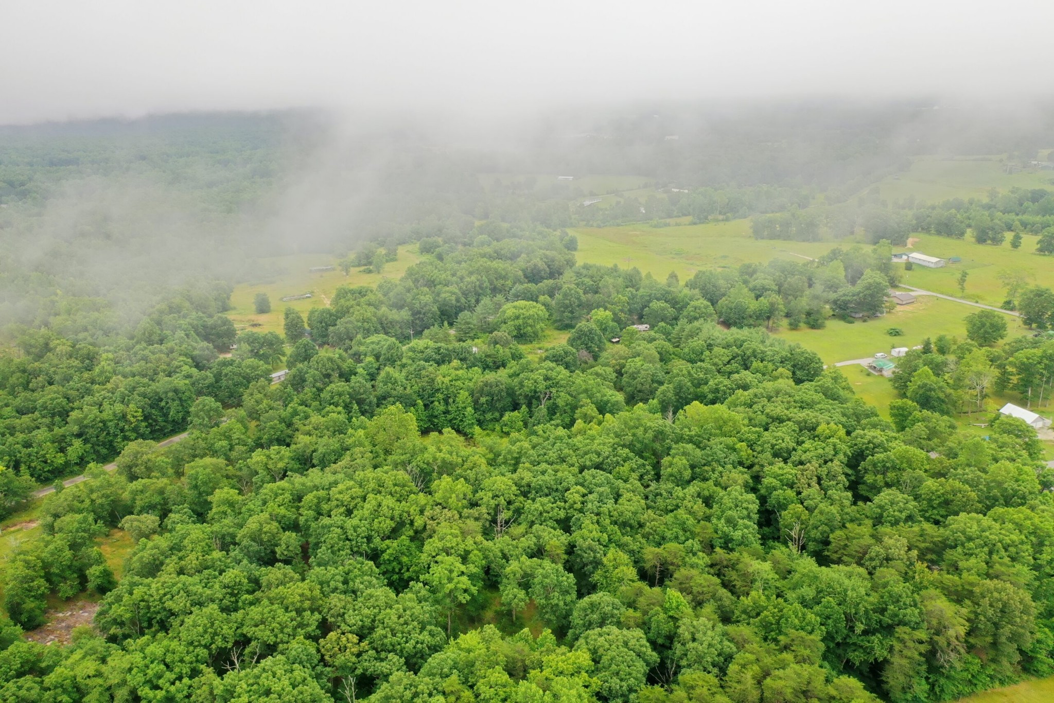 1302 Monteagle Falls Road Monteagle, TN 37356 - Photo 2 of 7 Gallery Image 2