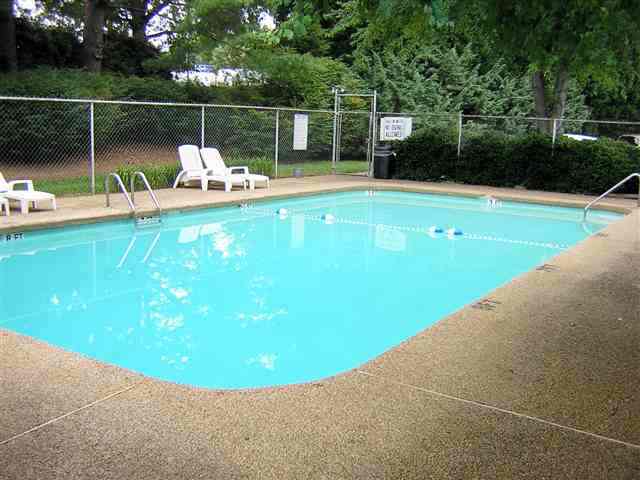 501 Edwards Road, Unit 6 Greenville, SC 29615 - Photo 16 of 17 Gallery Image 16